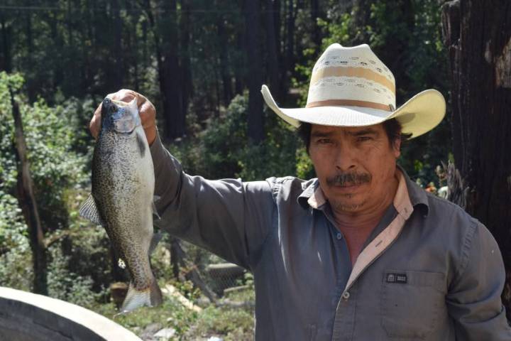 Con apoyo del Gobierno de Morelia, productores piscícolas se preparan para la cuaresma