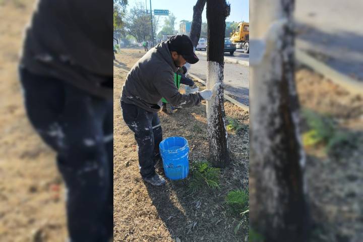 Gobierno Municipal da limpieza y mantenimiento a áreas verdes de Morelia