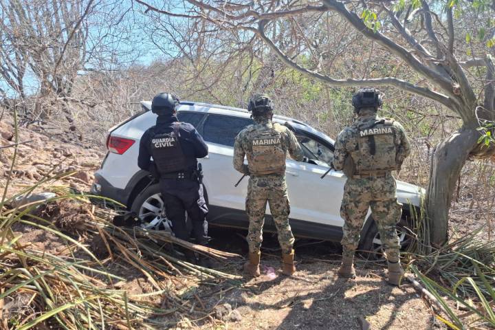SSP y Marina aseguran 3 armas largas y 289 cartuchos útiles en Arteaga