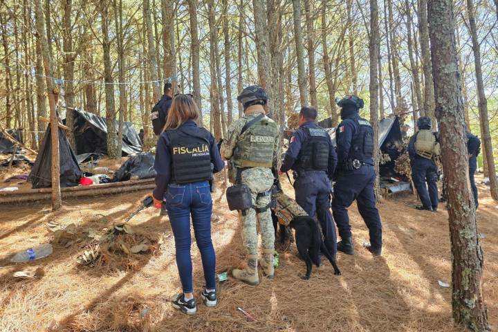 Localizan e inhabilitan campamento clandestino en Queréndaro: SSP