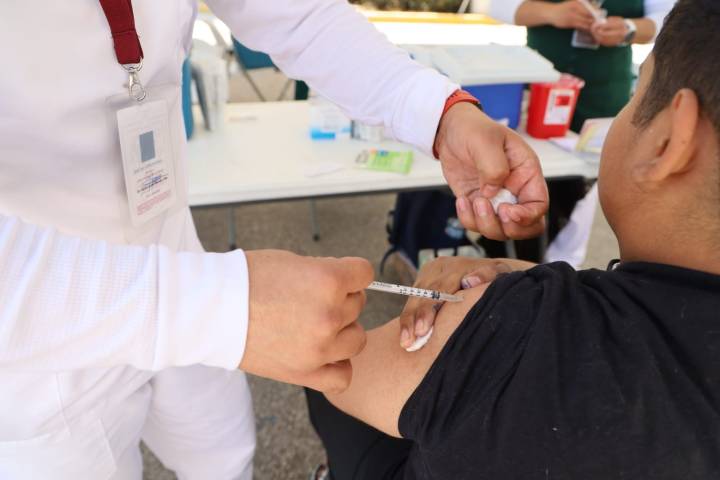 En Michoacán se han aplicado más de 700 mil dosis contra el sarampión: SSM