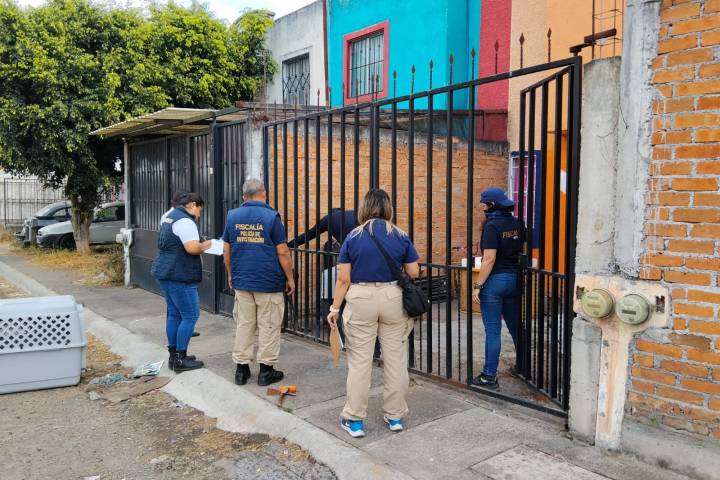 Rescata FGE a cinco ejemplares caninos víctimas de maltrato animal