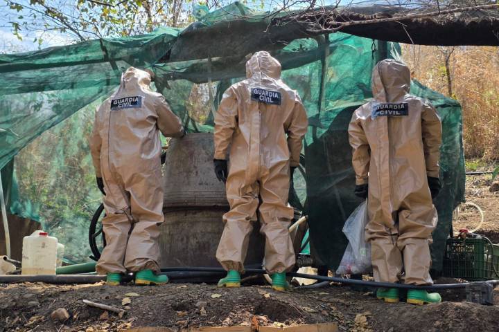 Agentes federales y estatales inhabilitan laboratorio para elaboración de drogas en Peribán