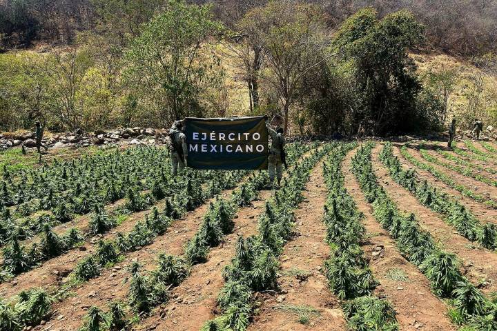 Marinos detienen a 7 presuntos delincuentes, aseguran equipo bélico y droga