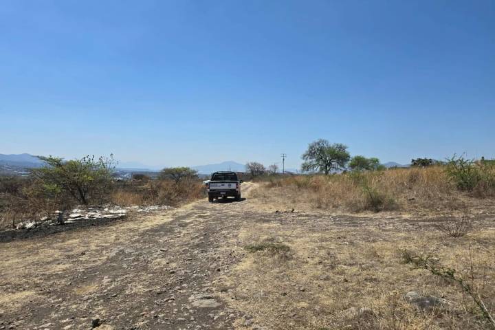 Hallan a joven asesinado en la colonia El Mirador de La  Aldea, Morelia