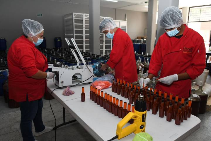 Michoacán supera el medio millón de empleos formales; alcanzó su cifra más alta en febrero