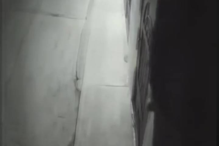 Tres sujetos roban cámara de videovigilancia en la colonia Praderas del Sur