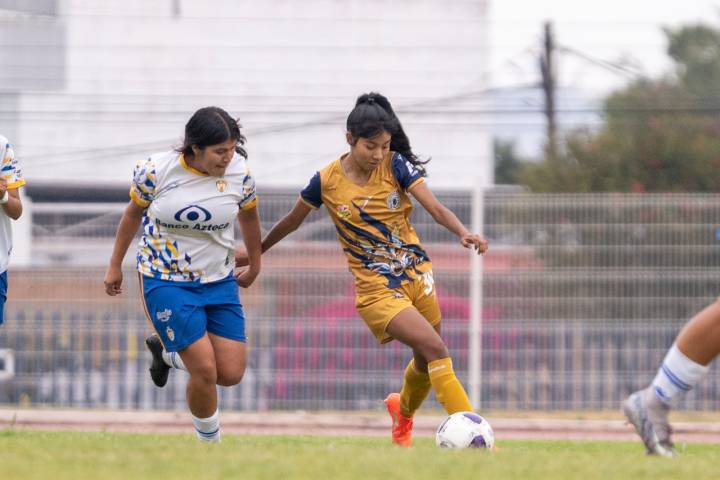 ⁠La escuadra nicolaita derrotó este viernes a La Piedad Querétaro.