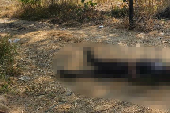 Localizan a hombre ejecutado a la orilla de la Cuitzeo–San Agustín del Pulque