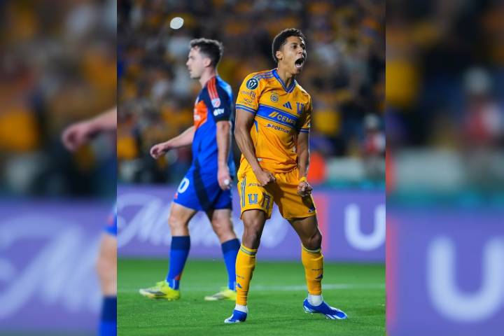 Tigres remonta y avanza