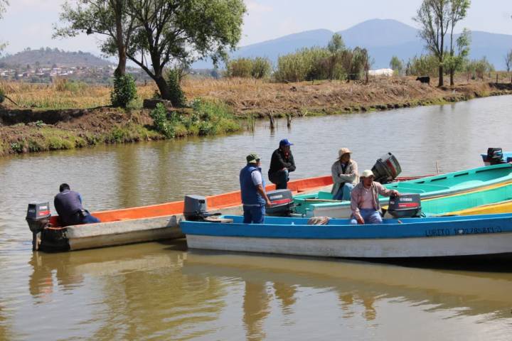 Con ley No más deuda en Michoacán habrá más protección y cuidado ambiental