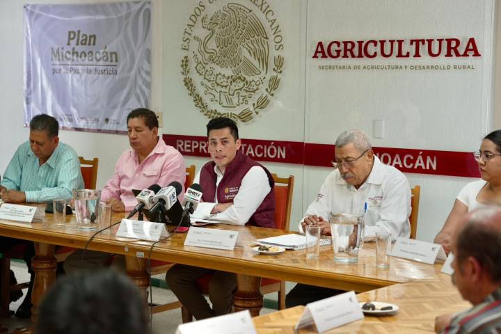 Dispersados más de 374 mdp en incentivos para productores de maíz en Michoacán