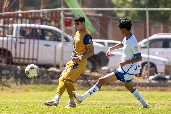 UMSNH superá a H2O