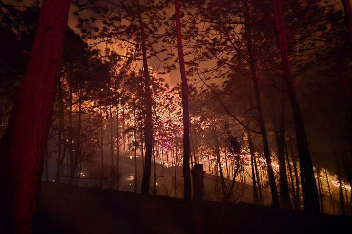 Mueren dos brigadistas al combatir incendio forestal en Tacámbaro