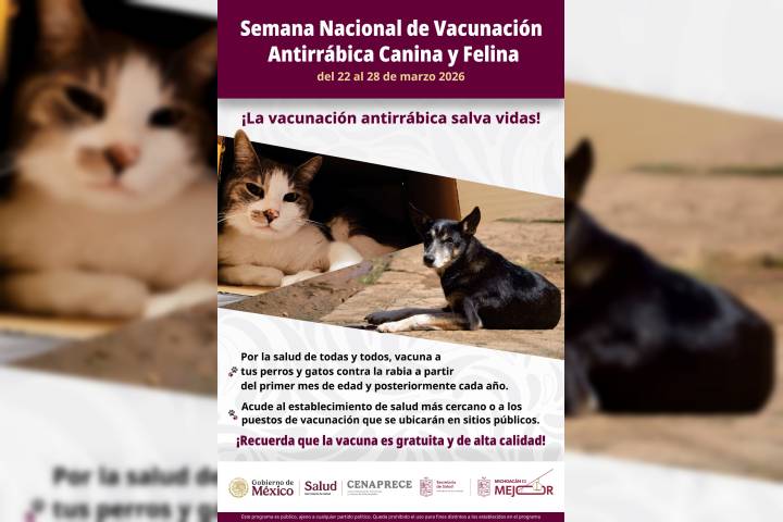 ¡Protege a tus perros y gatos! Llévalos por su vacuna antirrábica gratuita