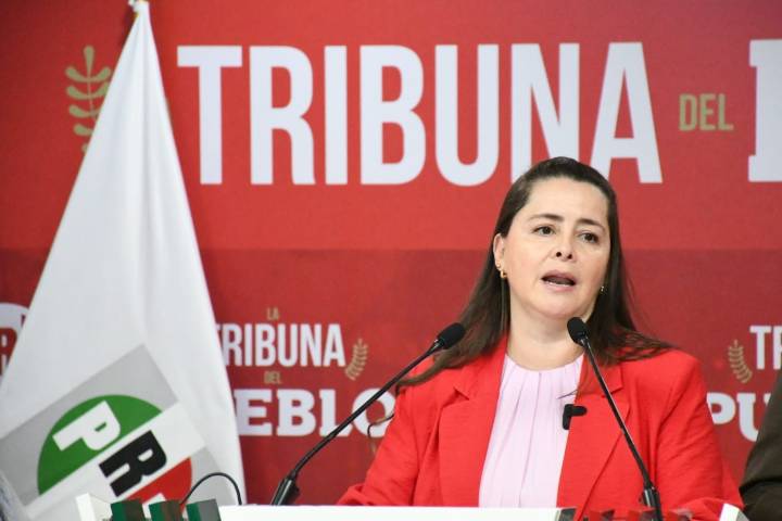 México necesita defensores que no sean ametrallados por el oficialismo: PRI