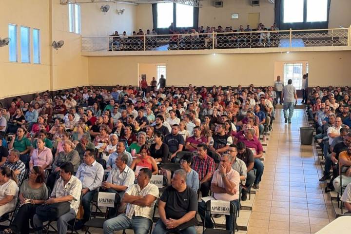 Impulso de Cultura de Paz: Gabriela Molina