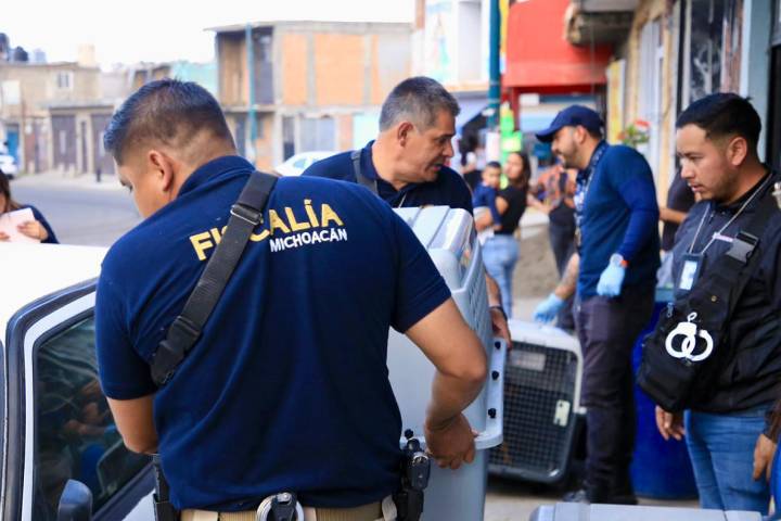 Rescata FGE a 21 animales que se encontraban en condiciones vulnerables en un domicilio de Morelia