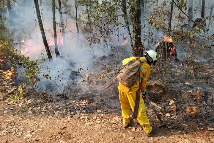 Incendio en Área Natural Protegida de Tzitzio, controlado al 100 %