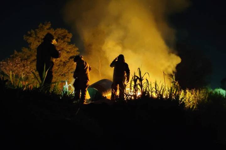 Arde casita de madera en la colonia Jacarandas