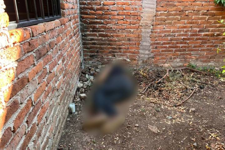 De cinco balazos matan a un hombre, en vivienda de Jacona
