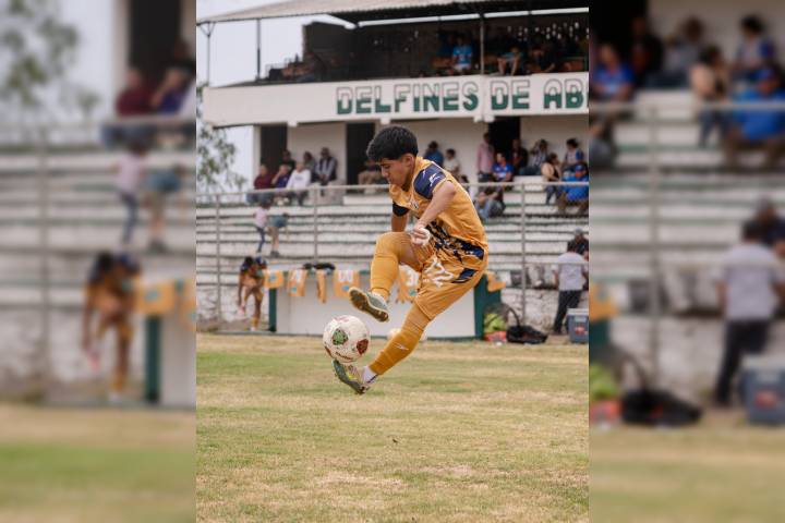 UMSNH vence a Delfines en Abasolo