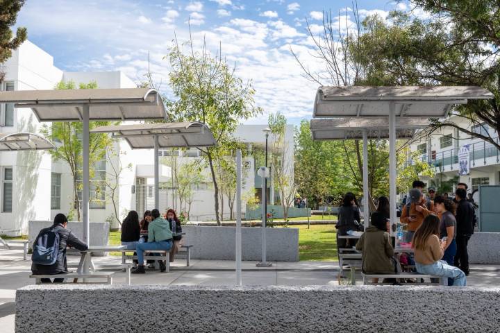 UMSNH, primera institución pública en Michoacán en ofertar la Licenciatura en Política, Gobierno y Gestión Publica