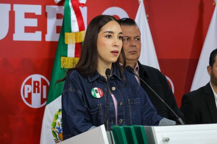 Morena ignora la ayuda internacional en tema de desapariciones: PRI