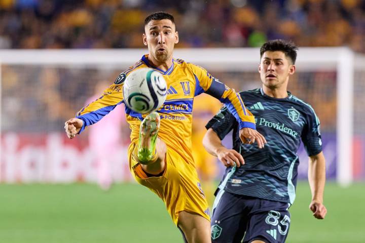 Tigres ruge en el Volcán