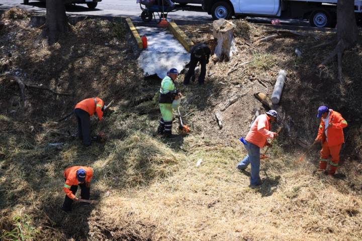 Gobierno de Morelia interviene áreas verdes y espacios públicos del Río Chiquito y Bulevar García de León