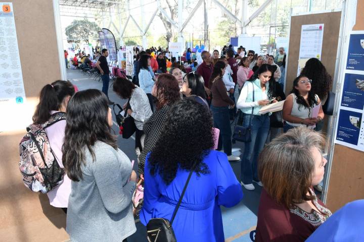 Michoacán alcanza cifra histórica de más de 505 mil empleos formales en marzo