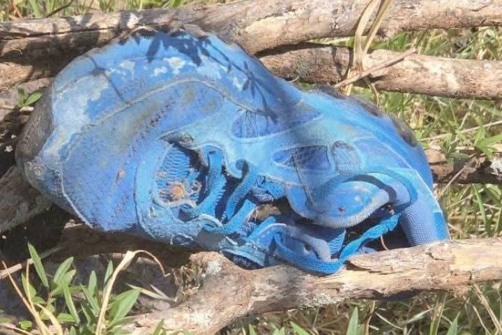 En jornada de búsqueda de personas desaparecidas localizan dos cadáveres y restos óseos en cerro de Jacona