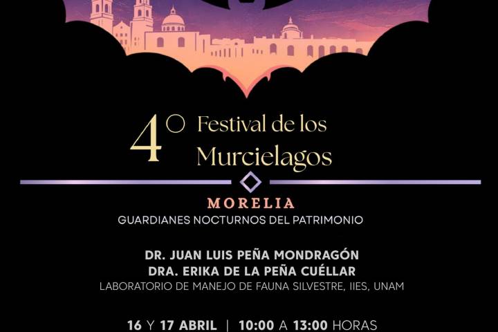 Llega el segundo Festival de los Murciélagos al Museo del Estado: Secum