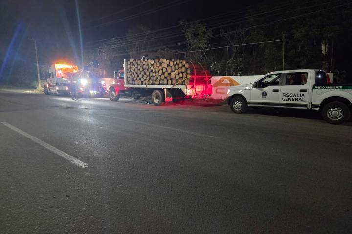 Asegura FGE vehículo y detiene a dos hombres por transporte ilegal de madera en Morelia
