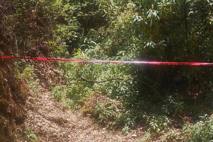 Encuentran a mujer asesinada con arma blanca en Cuirinditzio, Salvador Escalante