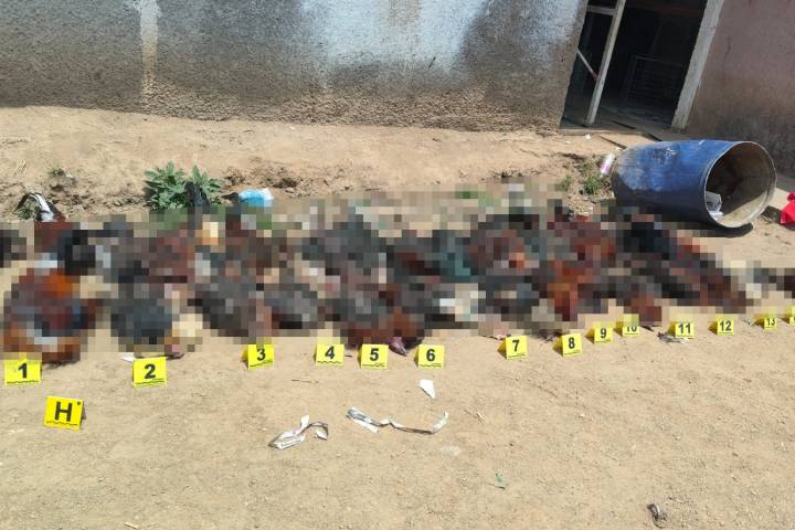 FGE asegura 29 aves con vida y documenta la muerte de 41 más en palenque clandestino en El Parián