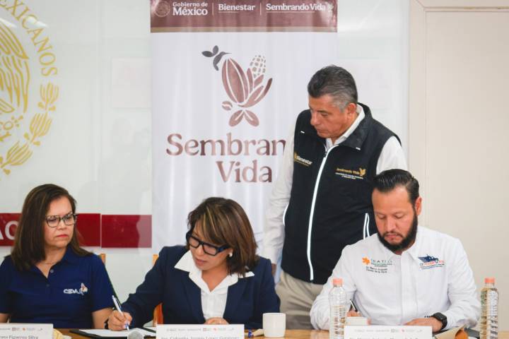 Firma Sembrando Vida convenios de capacitación a campesinos para fortalecer el Plan Michoacán por la Paz y la Justicia