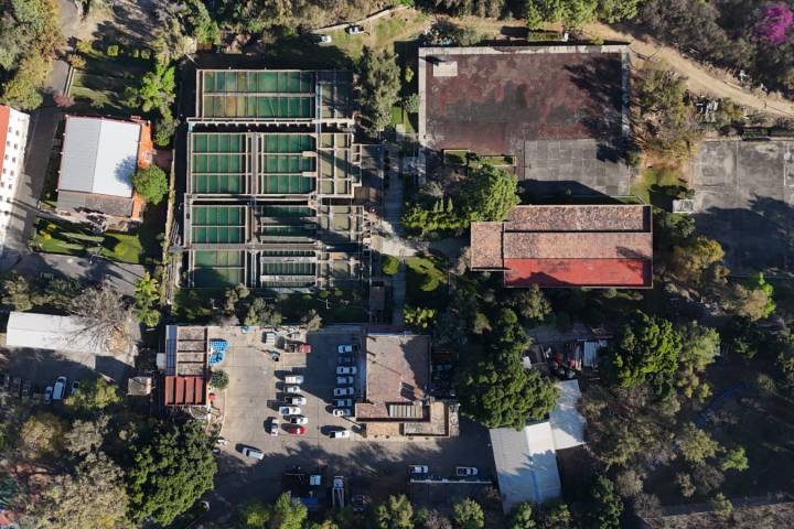 Adolfo Torres consolida la modernización en la planta Vista Bella