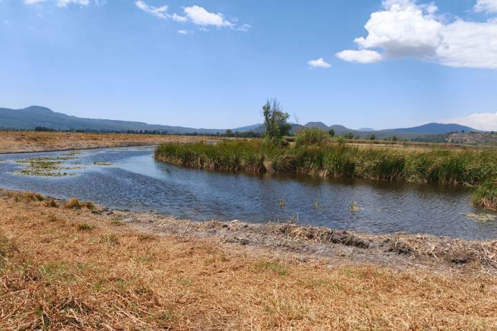 Hallazgo de tres nuevos manantiales consolidan rescate del lago de Pátzcuaro: Bedolla