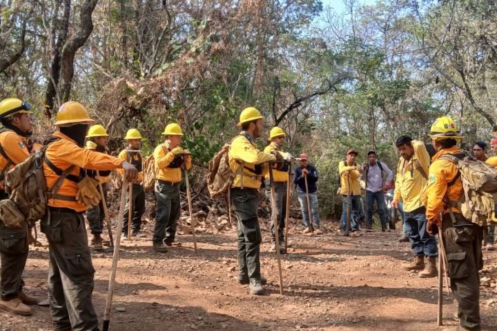 Michoacán logra reducir más del 44 % la superficie afectada por incendios forestales