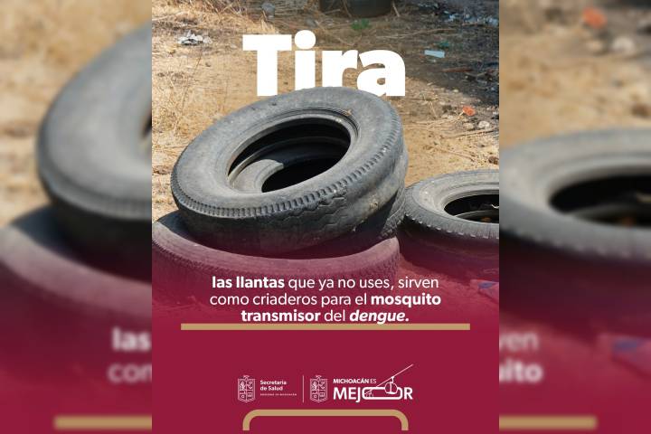Fumigación no es suficiente contra el dengue: SSM