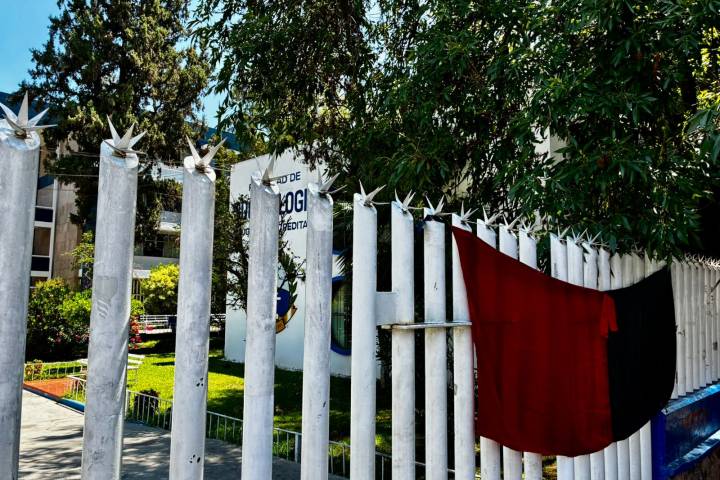 Espera SUEUM pronta resolución a impugnaciones