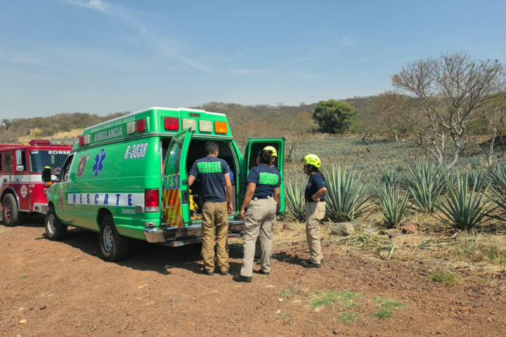 Adulto mayor es atacado por abejas, en el cerro de La Beata