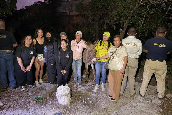 FGE rescata a burrito víctima de maltrato animal en Ciudad Hidalgo