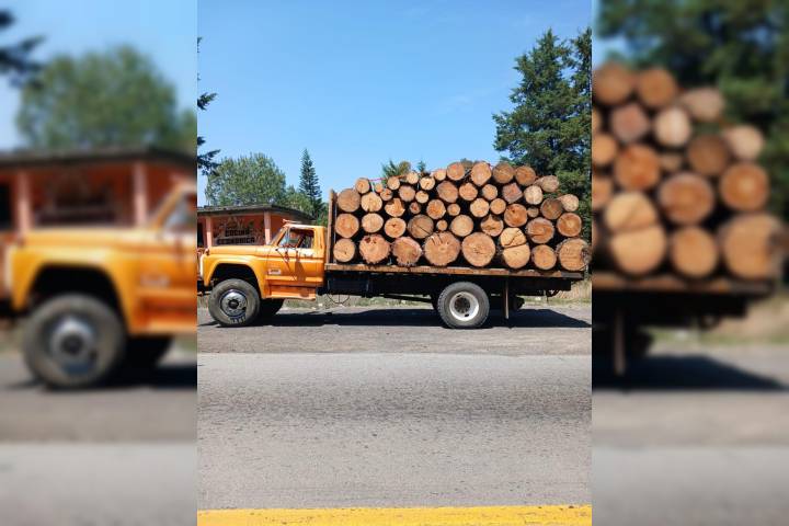 Detiene FGE a un hombre por transporte ilegal de madera en Zinapécuaro