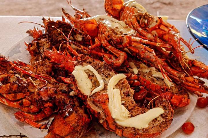 Último día para disfrutar de la langosta y la cerveza artesanal en Morelia: Sectur