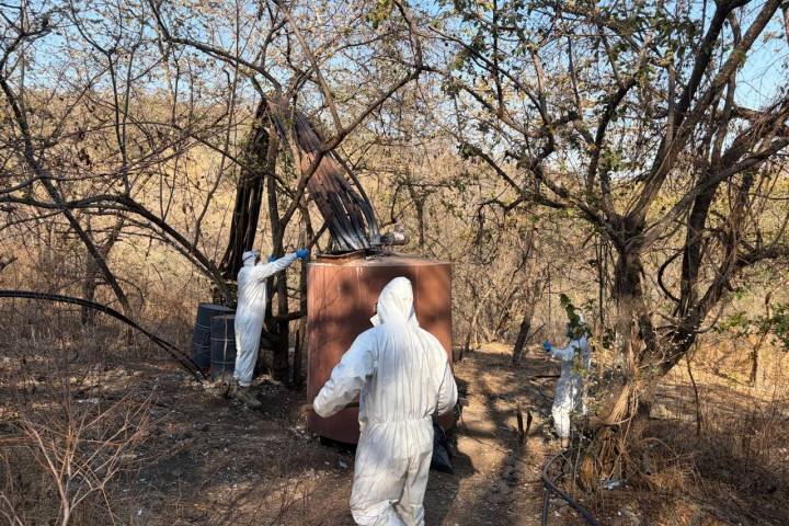Desmantelan laboratorio clandestino en Los Reyes; aseguran reactores e insumos para droga sintética