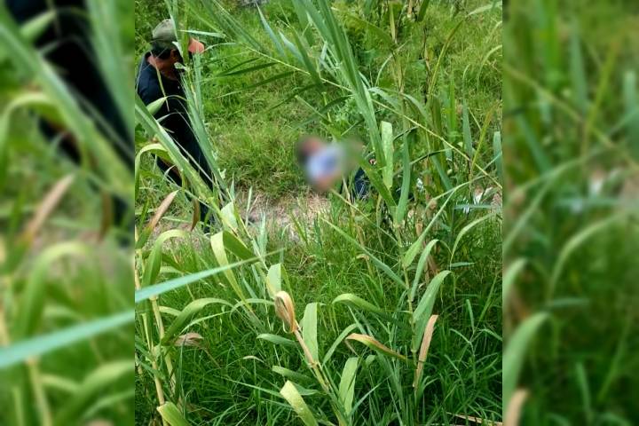 Mujer es atacada por una jauría de perros