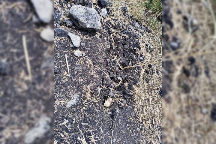 Localizan osamenta en fosa clandestina en zona cerril de Jacona
