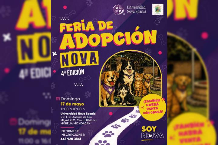 Michis exigentes busca Karen's responsables; lomitos quieren amor en feria de adopción en Morelia